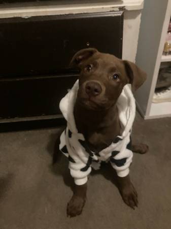 Rehoming (Eufaula)63654742171905121