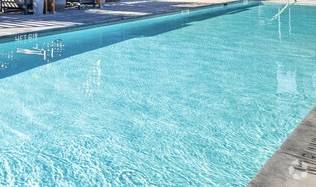 Furnished spacious apartment short term 1