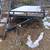 16 ' car trailer (obo 2 thumbnail