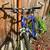 Specialized Rock Hopper Mountain Bike 3 thumbnail
