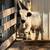 Mini Highland Bull 3 thumbnail