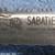 Vintage Sabatier Lion Dual Purpose 15" Carving Knife / Bone Saw 7 thumbnail