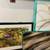 LARGE artwork 7 thumbnail
