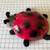 Lady Bug Nightlight 1 thumbnail