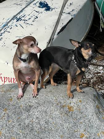 Looking for affordable place 1