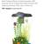 6-gallon fish tank, new 1 thumbnail