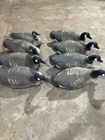 8 magnum goose floaters with weights and strings ready to go 1