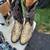 Men's Python snake skin boots Tony Lama 1 thumbnail