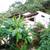 Jungle bungalow-panoramic views-1 bdrm 7 thumbnail