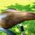 Trek Navigator 2.0 Hybrid Road Trail Bike 21-Speed 26" 12 thumbnail
