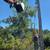 Echo Pruner Saw w/3' Extension for Echo PAS-266 Trimmer/Weed Wacker 5 thumbnail