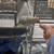 Parrot 4 thumbnail