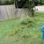 Stump grinding & tractor services 5 thumbnail