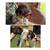 German Wire Haired Pointer Puppies 7 thumbnail