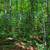 Elevated Building Lot in Quaint Southern Vermont Neighborhood 3 thumbnail