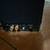 BOSTON ACOUSTICS Tall Floor Standing Speakers Pair VR950 5 thumbnail