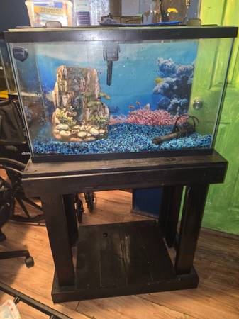 Acuario de 29 galones completamente equipado con soporte (Chillicothe)