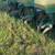 John Deere 7100 Planter 5 thumbnail