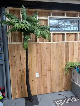 Tropical tree 🌴 1