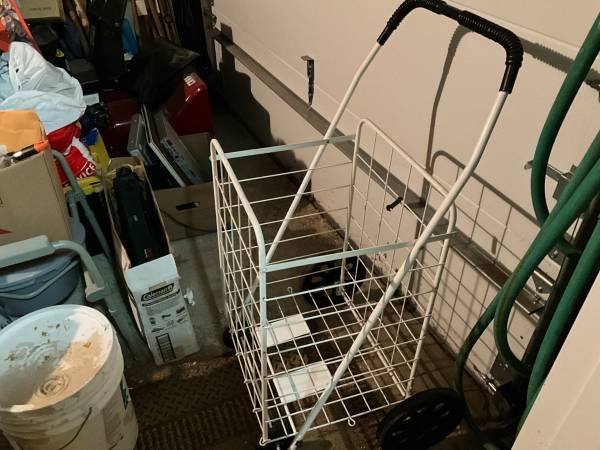 Laundry or grocery cart 1