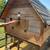 Chicken coop 3 thumbnail