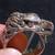 Vintage Eagle Head Bird Ring Size 10 7 thumbnail