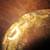 Vintage English Copper Kidney shaped Planter 4 thumbnail