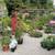 Closing Nursery low price plants Open 9-1 in Capitola 7 thumbnail