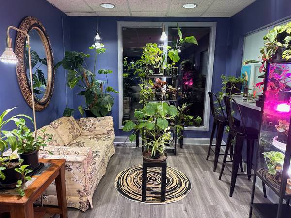 $550 / 1776ft2 - EAST COBB - SINGLE ROOM IN SHARED SUITE - One Price-All Included (Marietta)63964398026755123