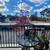 Nice & Bright room available to rent in a 2bd/2ba (Furnished) 3 thumbnail
