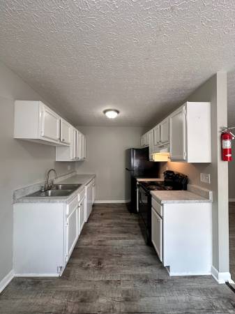 $1,050 / 1br - 650ft2 - ¡No te quedes en la oscuridad! Aprovecha la luz del día (Knoxville)63815694830209123