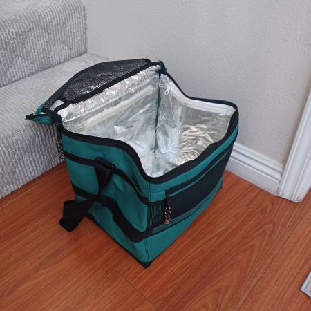 Cooler Bag with Multiple Pockets 1