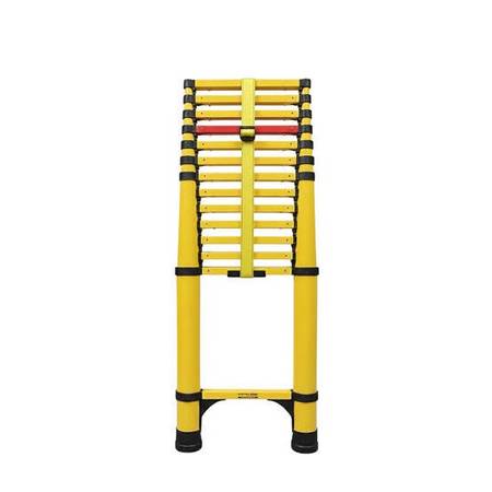 Star Infomatic ElectroSense Telescopic Ladder 1