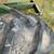 Pair of 18.4-26 Tires Will throw in Grain Buggy 3 thumbnail