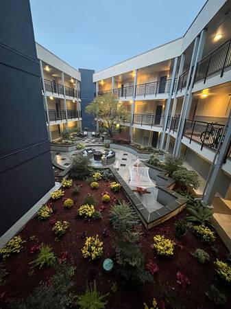 Washer & Dryer, Pet-Friendly, 6 Weeks Free! 1