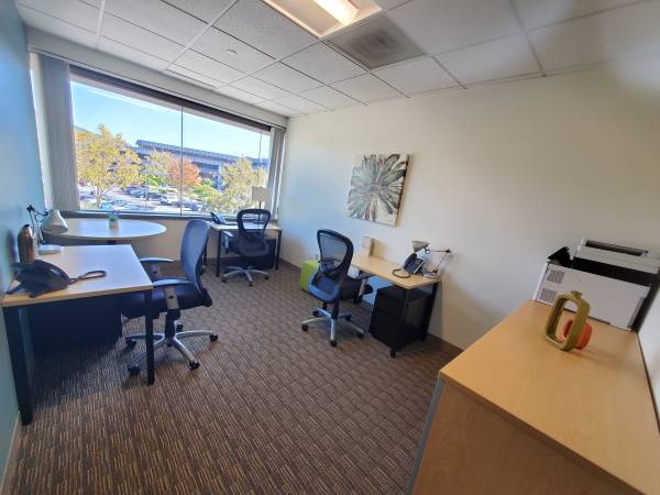 🎄 From stockings to startups—grow here. 1