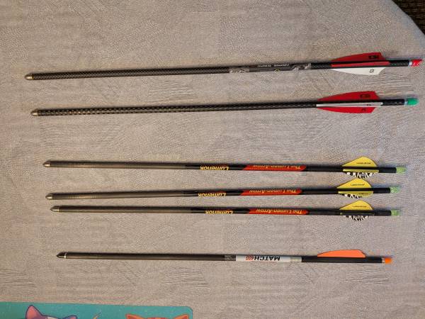 20 in. crossbow Bolts 1