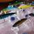 Eight (8) Suspended and Floating lures L-#56 1 thumbnail
