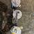 3 Vintage Bait Casting Fishing Reels 2 thumbnail