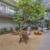 Smoke Free Community, Fully Equipped Kitchen, Washer & Dryer In Unit 10 thumbnail