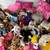 Lots of Stuffed Animals, Beanie Babies and Toys $1 3 thumbnail