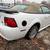 2004 ford mustang convertible 1 thumbnail