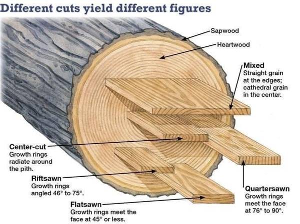 looking for sculpture tree wood 1
