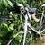 NOVARA CAREMA PRO ROAD BIKE 700cc Wheels 4 thumbnail