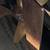 1963 TOLLYCRAFT RUNABOUT BOAT, classic wood boat, mahogany 60 century 16 thumbnail
