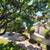 Absolutely Gorgeous Fresh Apt. Mariners Island- AMSI 23 thumbnail
