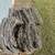 Barbwire 2 thumbnail