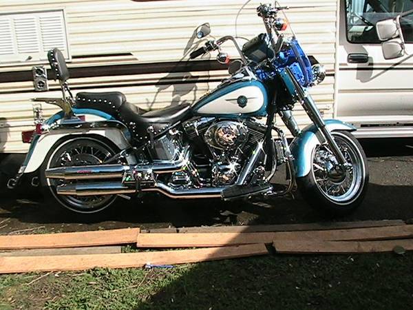 Customized 2001 fat boy HD 1