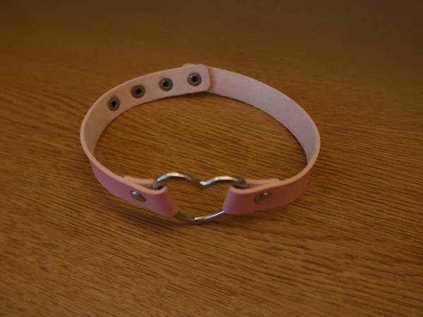 Pink Choker for Girls or Women or even your Dog 1