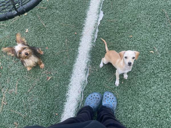 Chiwennie (Cleveland)63859315917313120